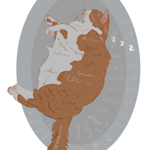 Paui's Cat Sticker August 24